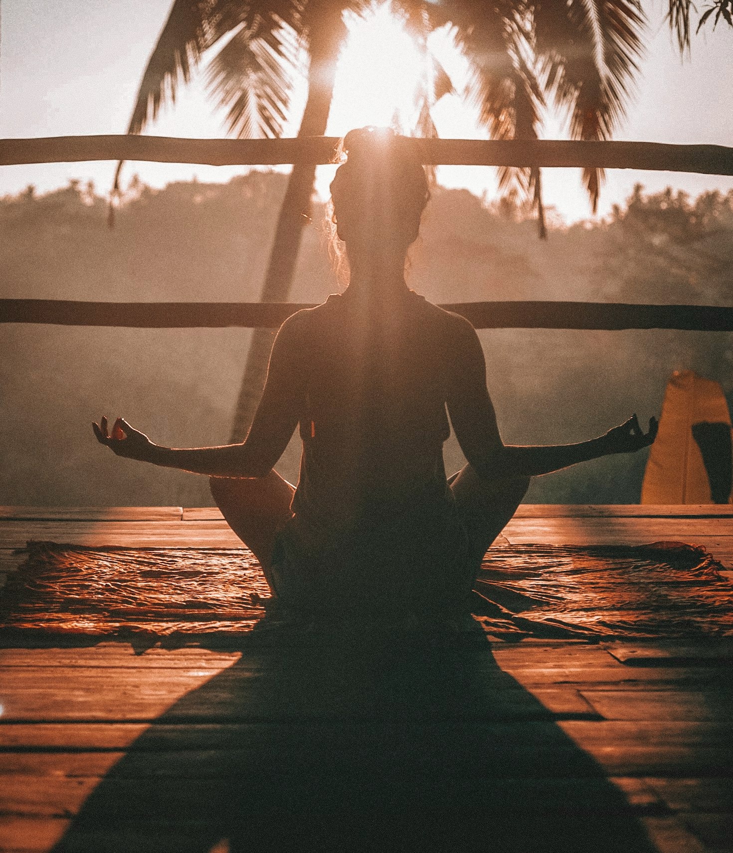 Rediscovering Vitality: Stories of Women Thriving